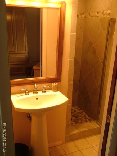 亞斯本的住宿－Shadow Mountain Lodge，浴室配有盥洗盆和带镜子的淋浴
