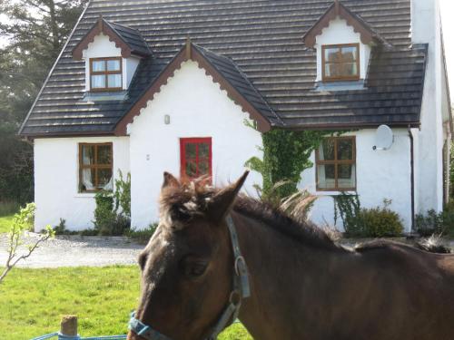 
a brown horse standing next to a white horse at Letterfrack Mountain Farm Cottage in Letterfrack
