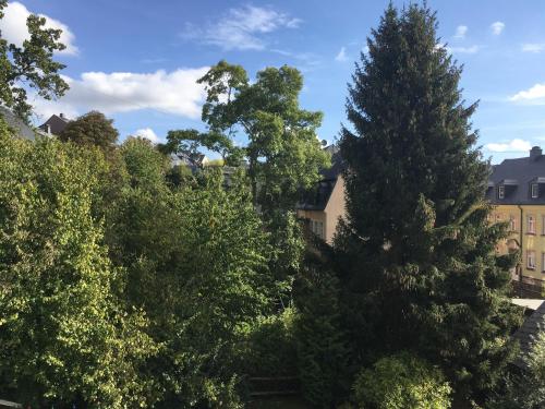 a group of trees in front of a building at Hotel Alt Annaberg in Annaberg-Buchholz