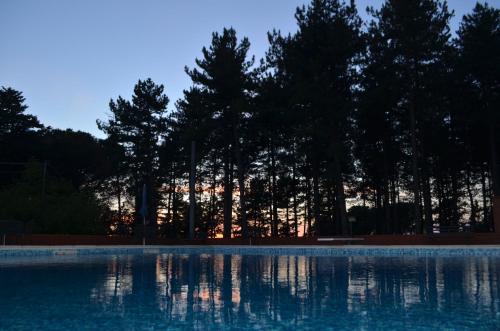 a large swimming pool with trees in the background at Agriturismo Le Case di San Vivaldo in Montaione