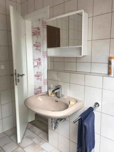 a bathroom with a sink and a mirror at Ferienwohnung am Komisenpad in Südlohn
