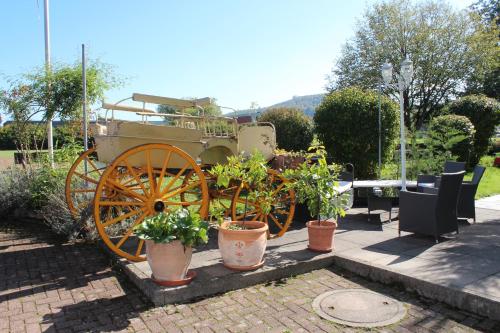 a carriage with potted plants in a garden at Hotel zum Goldenen Wagen in Maulburg