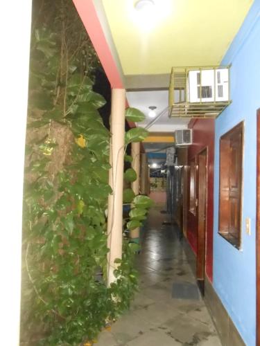 a hallway with a plant on the wall at Pousada Salmo 23 in Algodoal