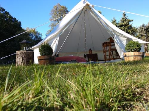 a white tent in the grass with potted plants at Trapani glamping camp in Růžová