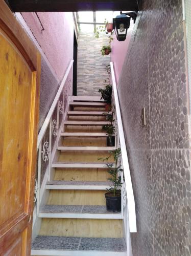 una escalera que conduce a un edificio con macetas en Jallalla, en Calama