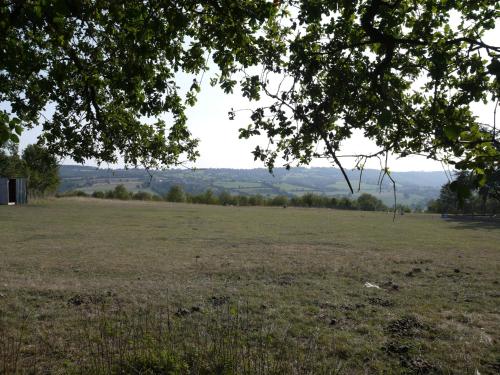 a large open field with a tree in the foreground at les Miquelots in Pont-d'Ouilly