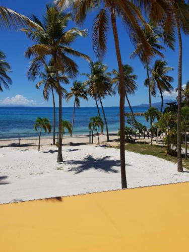 a group of palm trees on a beach with the ocean at Hotel Arawak Beach Resort in Le Gosier