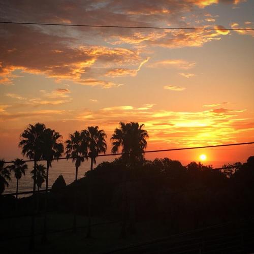 a sunset with palm trees in front of a body of water at Guesthouse ＆ Beach Cafe Fuego in Hyuga