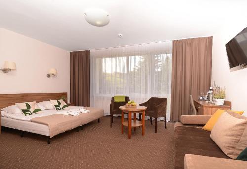 ポランチクにあるHotel Skalny Spa Bieszczadyのベッドとソファのあるホテルの部屋