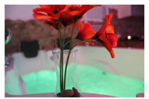 un vaso pieno di fiori rossi su un tavolo di La casina a San Severo