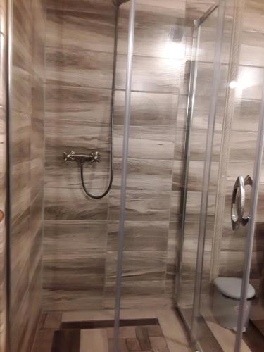 a shower with a glass door and a toilet at Brīvdienu māja Melderi in Ape