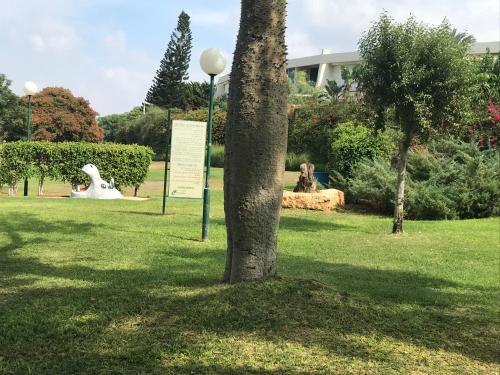 a park with a tree and a sign in the grass at Suite Caesar - Neot Golf in Caesarea