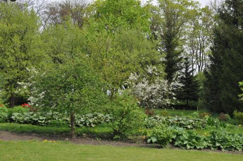 Gallery image of Zespół Dworsko-Parkowy in Nieżywięć