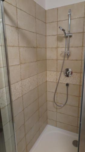 a shower with a shower head in a bathroom at Club Rezidence Pod Lučí in Loučovice