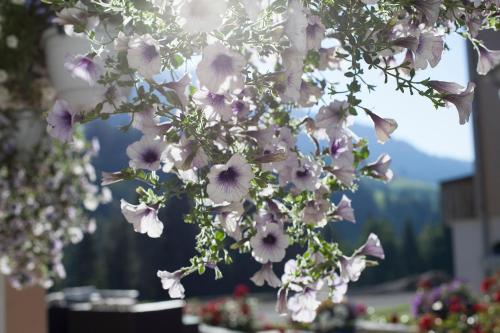 a bunch of flowers hanging from a tree at Hotel Rischli in Sörenberg