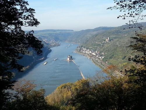 a view of a river with boats in it at Hotel Deutsches Haus in Kaub