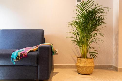 a blue couch and a potted plant in a room at Ramirez Flats Valencia in Valencia