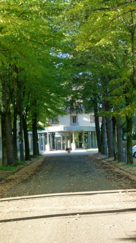 a tree lined street in front of a building at Meditur Hotel Bologna in Bologna