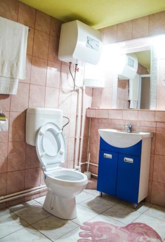 a bathroom with a toilet and a sink at Pensiunea Nicol in Valea Iasului