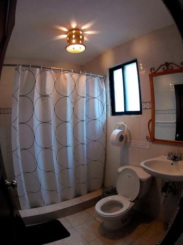 a bathroom with a shower and a toilet and a sink at Hotel Maison Gautreaux in Santo Domingo