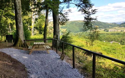 a wooden bench sitting on top of a hill at Macdonald Plas Talgarth Resort in Aberdyfi
