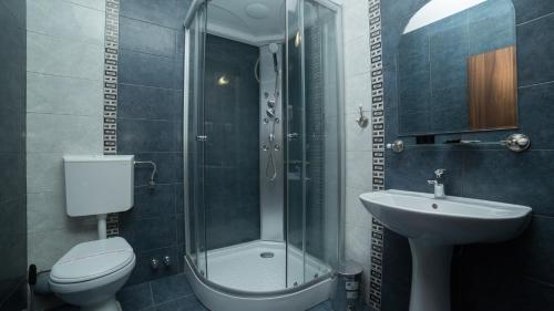 a bathroom with a shower and a toilet and a sink at Alba Forum in Alba Iulia