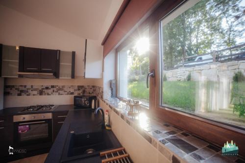 cocina con fregadero y ventana grande en Retreat Margau Apuseni-Adults Only- wellness & wellbeing, en Mărgău