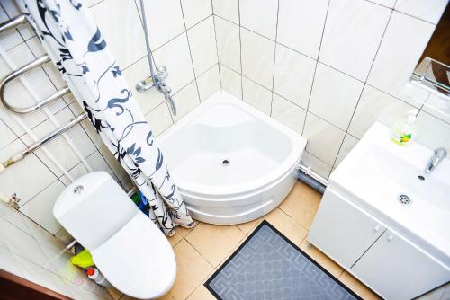 a bathroom with a toilet and a sink at W Apartaments Krepostnaya 12/2 in Vyborg