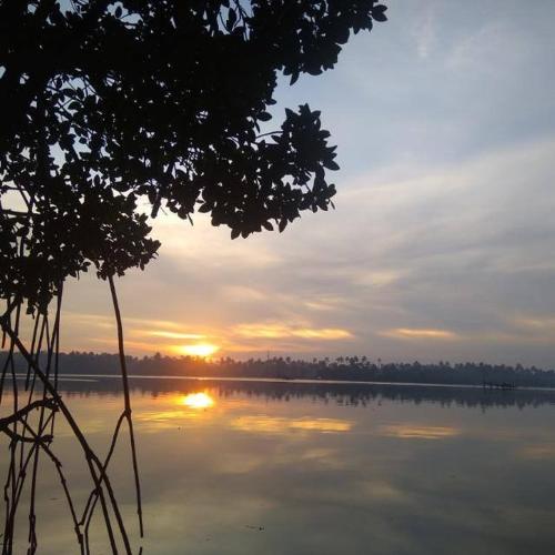 a view of a lake with the sun setting at Lakefront Beach Homes in Cherai Beach