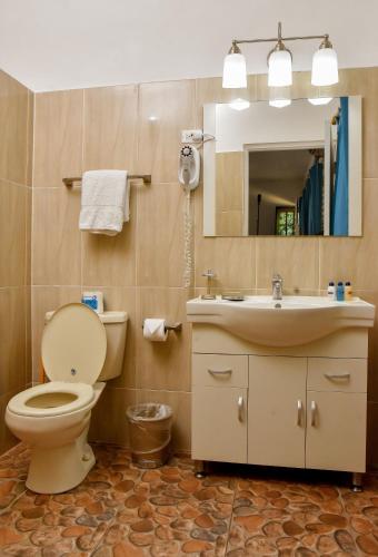 a bathroom with a toilet and a sink and a mirror at Beyond Sunset Resort & Villas in Treasure Beach