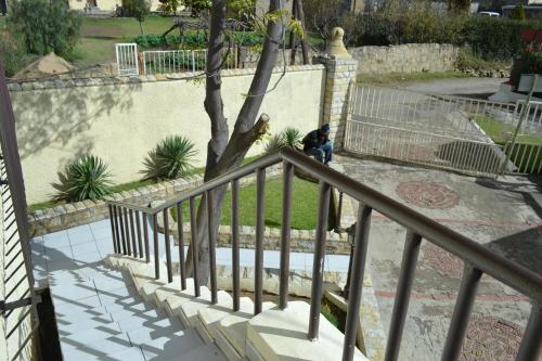 a person sitting on a staircase next to a tree at City Stay in Maseru