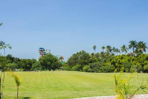 een groen veld met palmbomen op de achtergrond bij El Rollo Camping in Tlaquiltenango