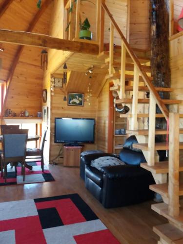 a living room with a couch and a television in a cabin at Domos Eva-Ray in Panguipulli