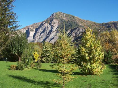 a mountain in the middle of a field with trees at Le Chalet Carpe Diem in Le Bourg-dʼOisans