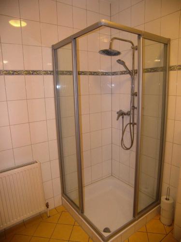 a shower with a glass enclosure in a bathroom at Ferienwohnung Scholz in Lühmannsdorf