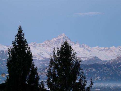 dos árboles frente a una montaña cubierta de nieve en Blue Room, en Saluzzo