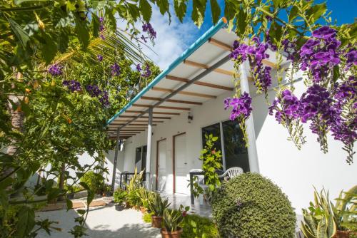 Κήπος έξω από το Lagoon Villa Maldives