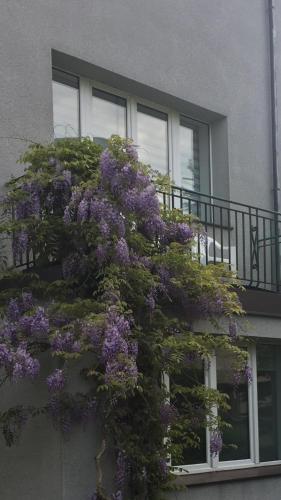 Balkón nebo terasa v ubytování Willa Przy Plaży Gdynia Kamienna Góra