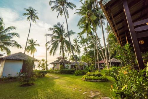 a yard with palm trees and a house at 1511 Coconut Grove in Tioman Island
