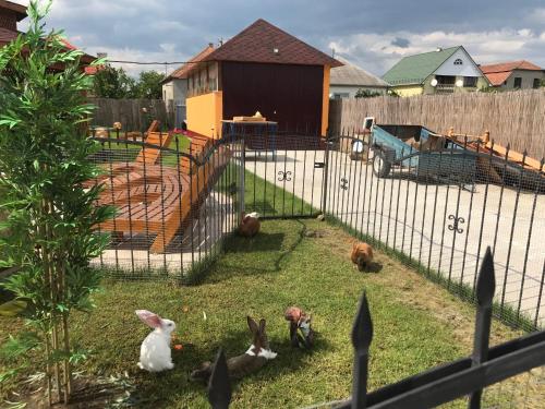 a group of chickens in a fenced in yard at Villa Eden DeLux in Yanoshi