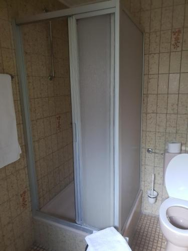 a shower stall in a bathroom with a toilet at Ganerb in Dudenhofen