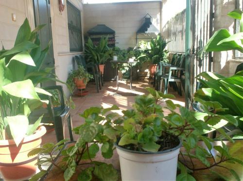 a patio with lots of plants and tables and chairs at Alojamiento Los Poetas in Baeza