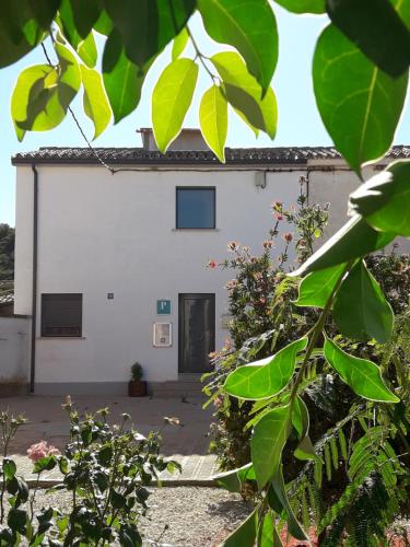 ein weißes Gebäude mit einer Tür und einigen Pflanzen in der Unterkunft Pensión Matarraña in Fayón