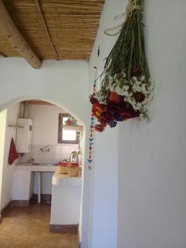 a bunch of flowers hanging from a wall in a kitchen at Cabaña El Cardón,casita en el campo quebradeño in Humahuaca