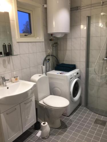 トロルヘッタンにあるLarstorpsvägen 12のバスルーム(トイレ、洗面台、洗濯機付)