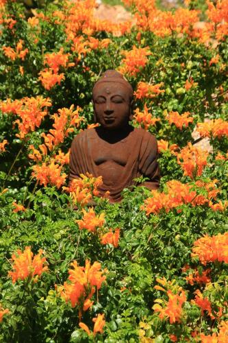 Giardino di Apricot Gardens Guesthouse