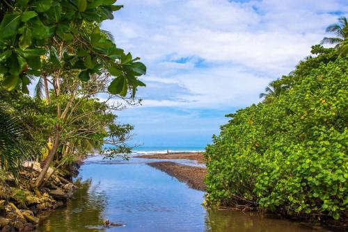 a stream in the middle of a beach with trees at Beach Break Resort & CR Surf Camp in Jacó