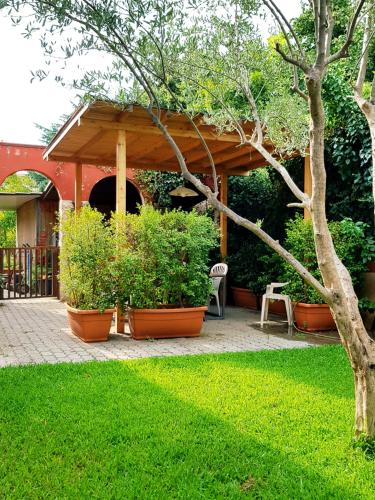 a wooden gazebo with potted plants in a yard at B&B Welcome in Pedara