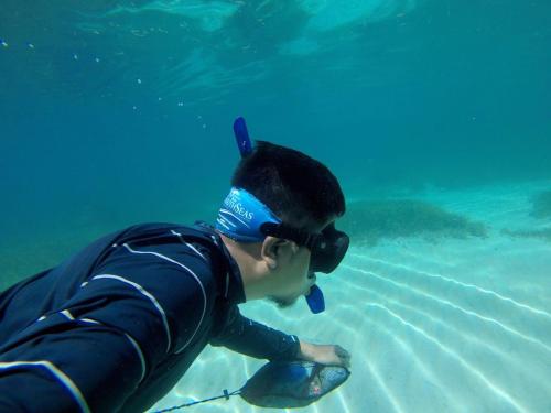 a young boy is looking at a fish in the water at Southseas Beach Resort and Dive Center in Santander