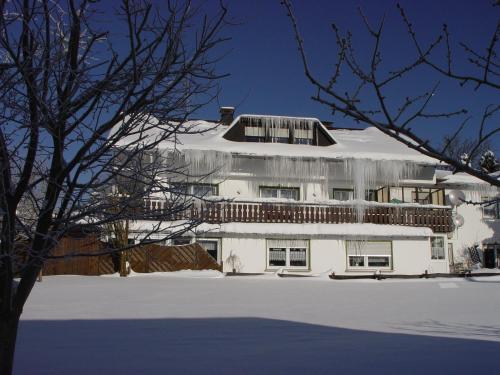 Foto dalla galleria di Pension Sonnenheim a Winterberg